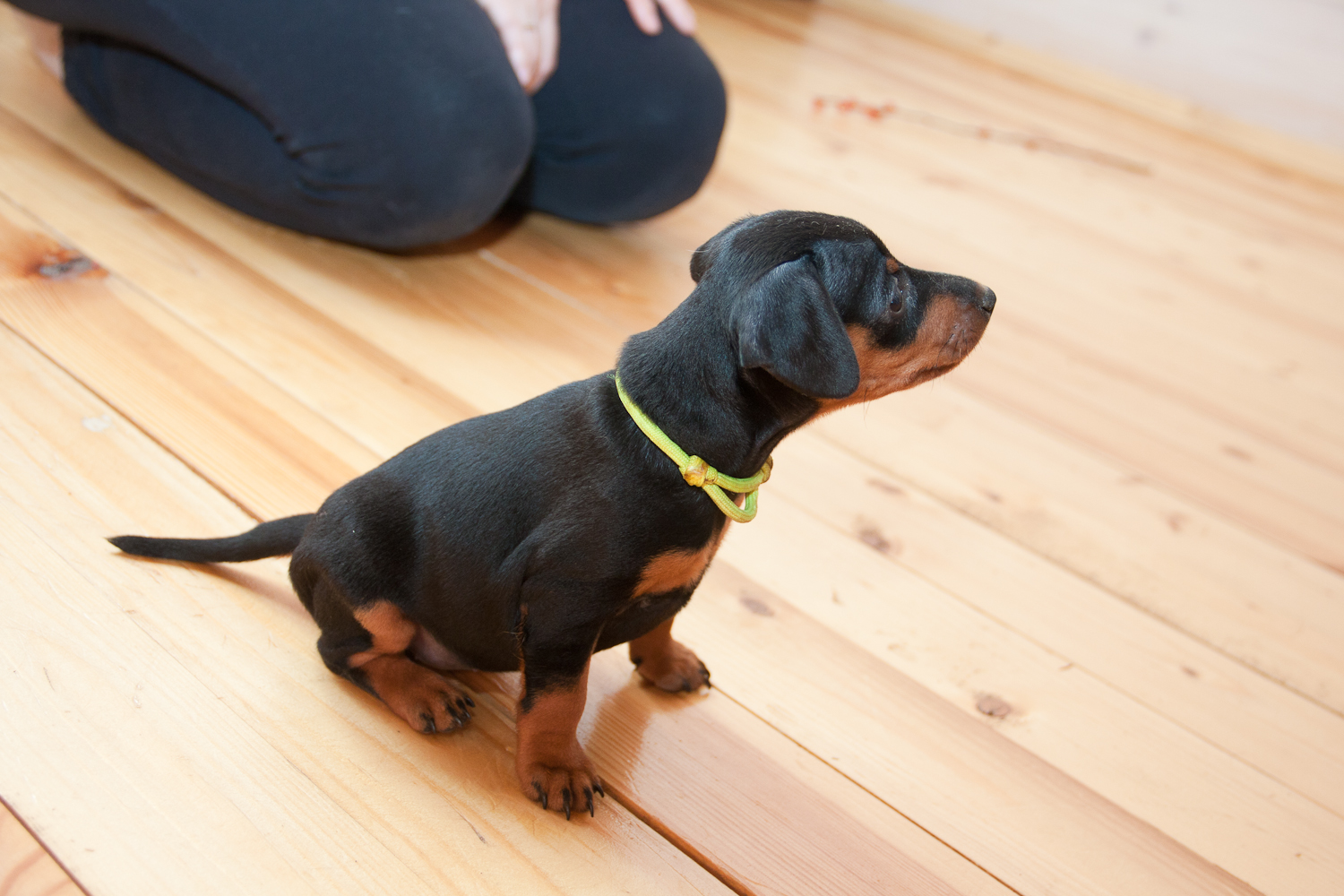 LLL01 89 51