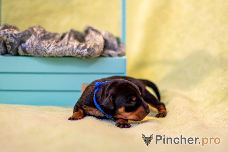 EK022307