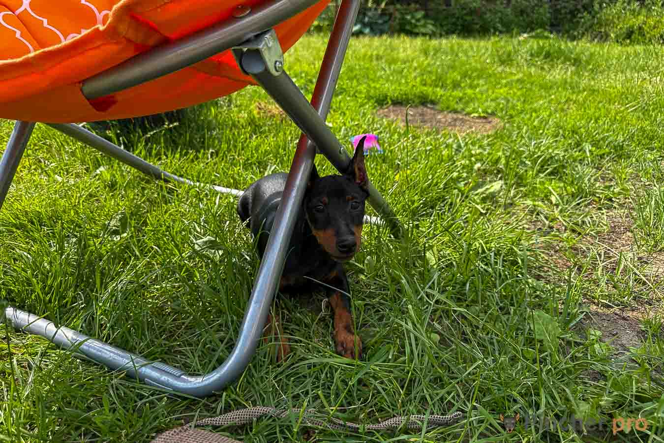 Image 14 06 26 10 19 3